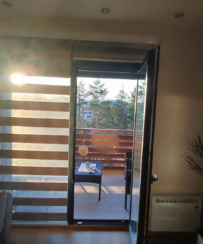 BalkanHill2 S37 Pekovic green Zlatibor